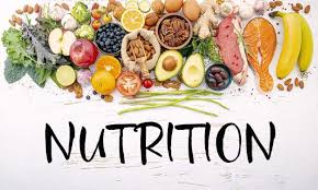 Dip in Nutrition sem1