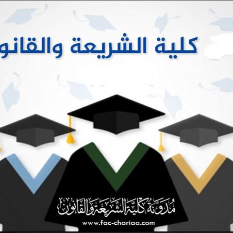 الفصل الثامن