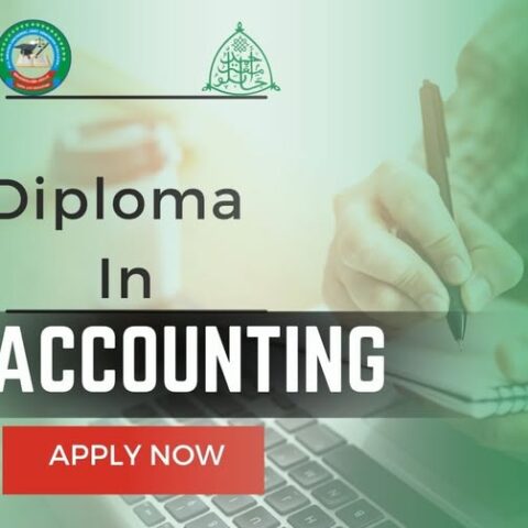 Diploma Semester One