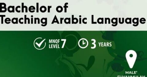 الفصل الثاني
